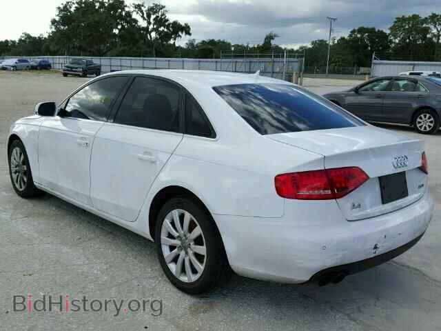 2010 AUDI A4 - VIN: WAUEFAFL8AN058547 - Фото 3