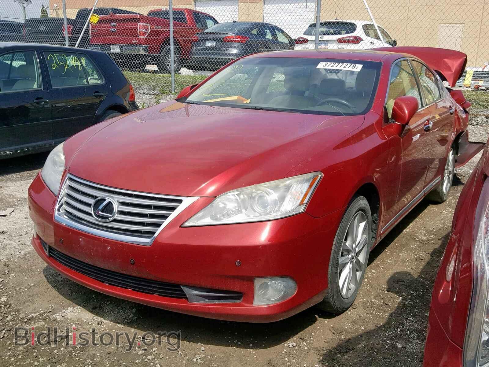 2010 LEXUS ES350 - VIN: JTHBK1EG2A2391767 - Фото 2
