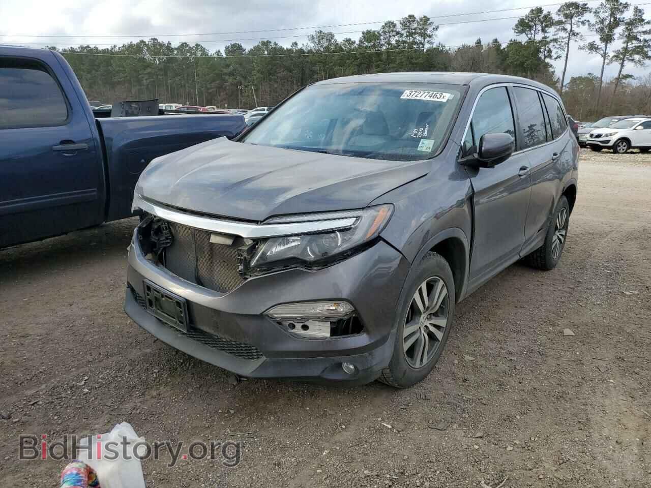 Фотография 5FNYF5H53GB044326 - HONDA PILOT 2016