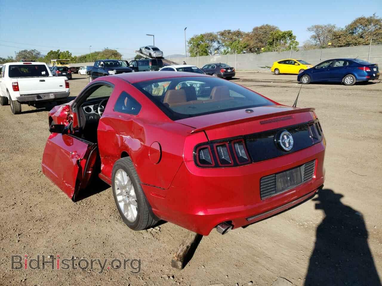 2013 FORD MUSTANG - VIN: 1ZVBP8AM8D5229066 - Фото 3