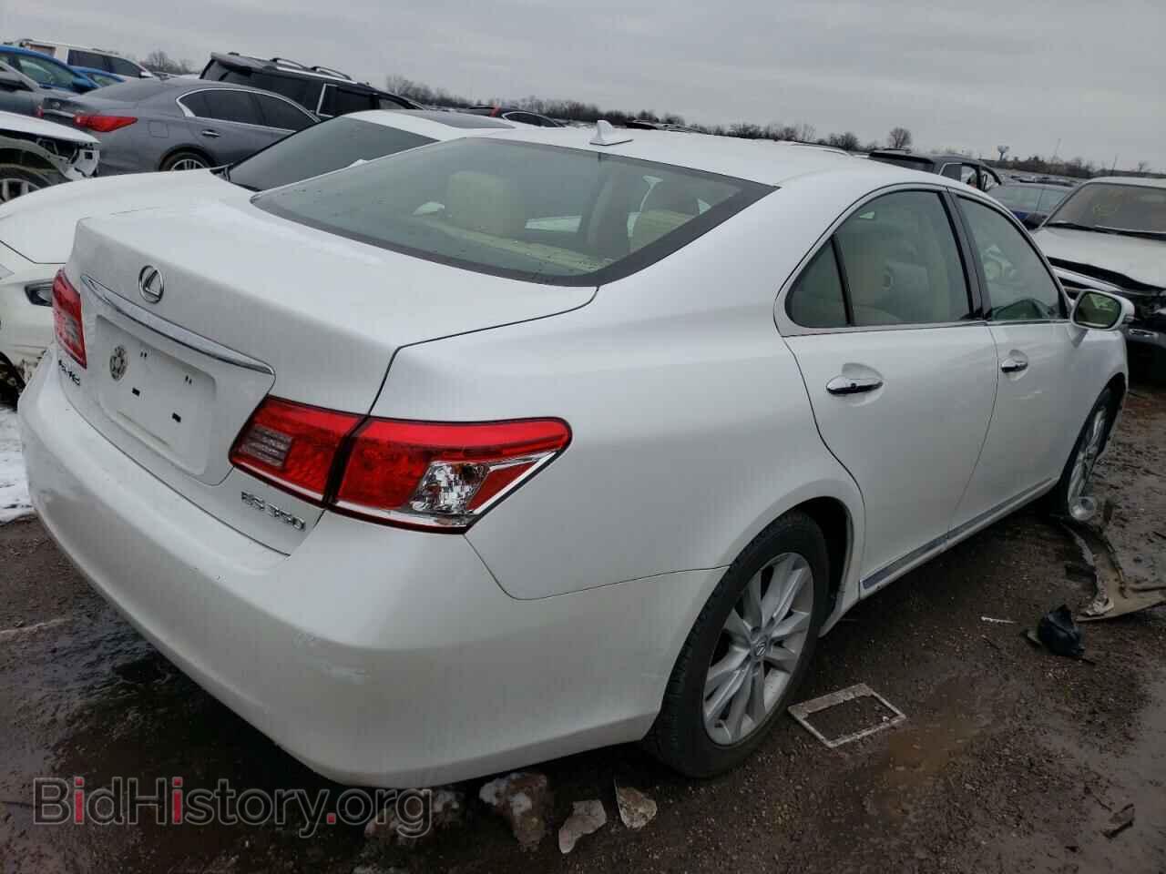 2010 LEXUS ES350 - VIN: JTHBK1EG2A2370465 - Фото 3