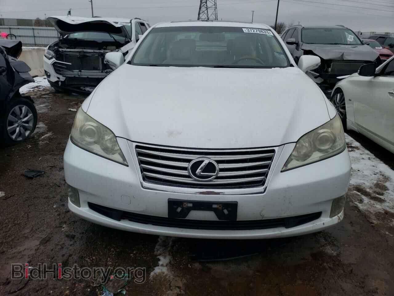 2010 LEXUS ES350 - VIN: JTHBK1EG2A2370465 - Фото 5