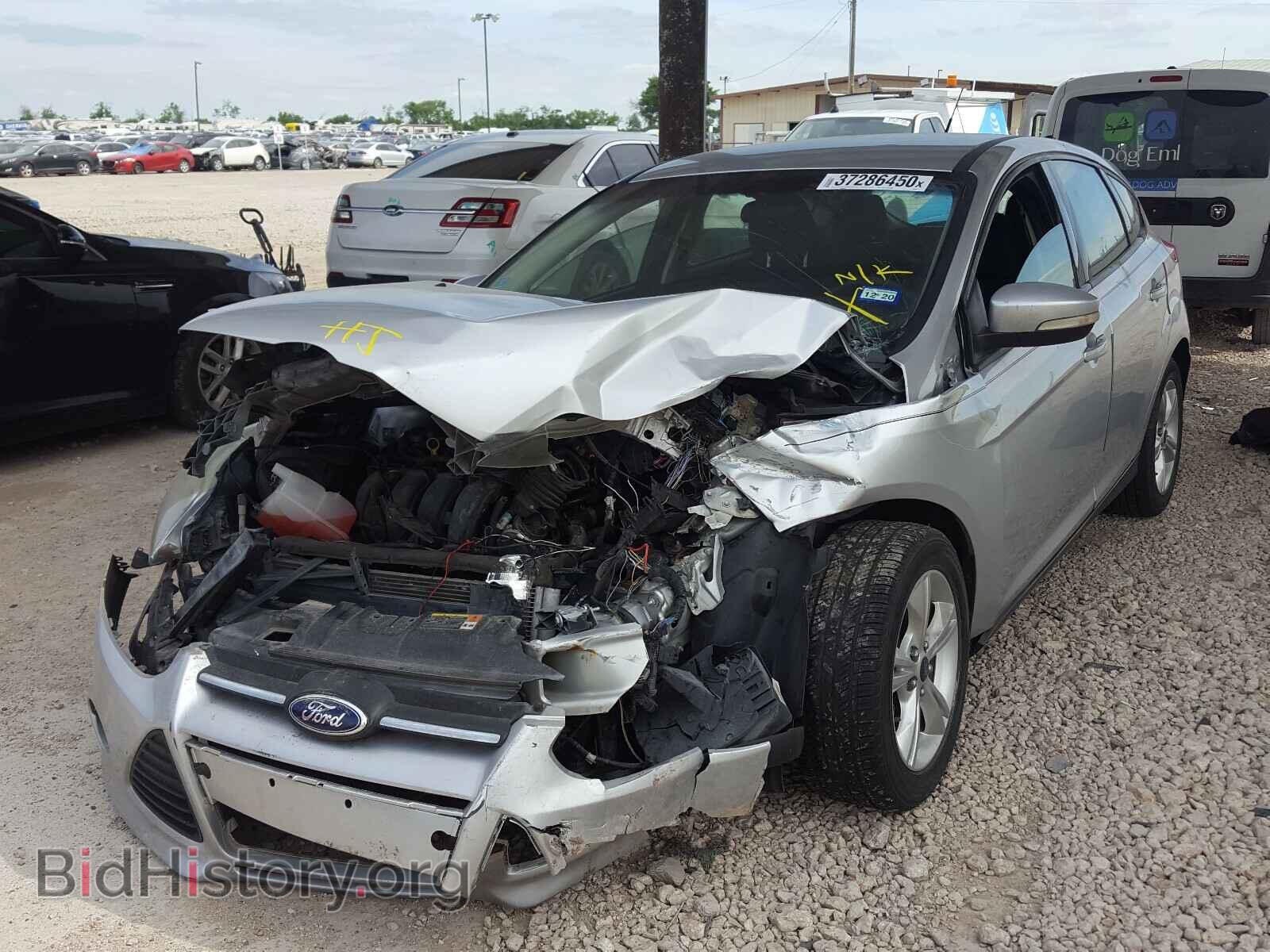 2013 FORD FOCUS - VIN: 1FADP3K24DL254592 - Фото 2