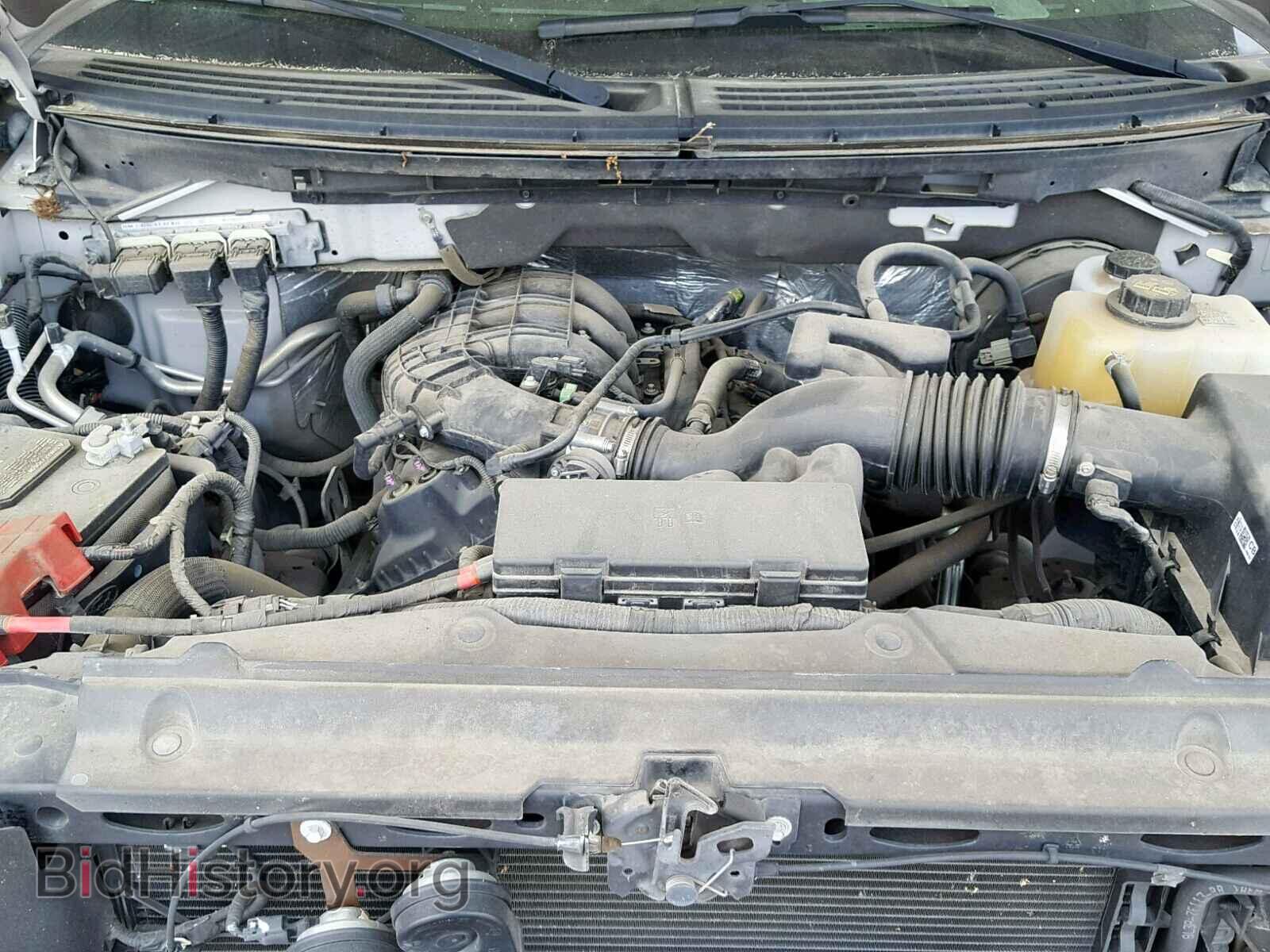 2013 FORD F150 - VIN: 1FTMF1CM9DFC56743 - Photo 7