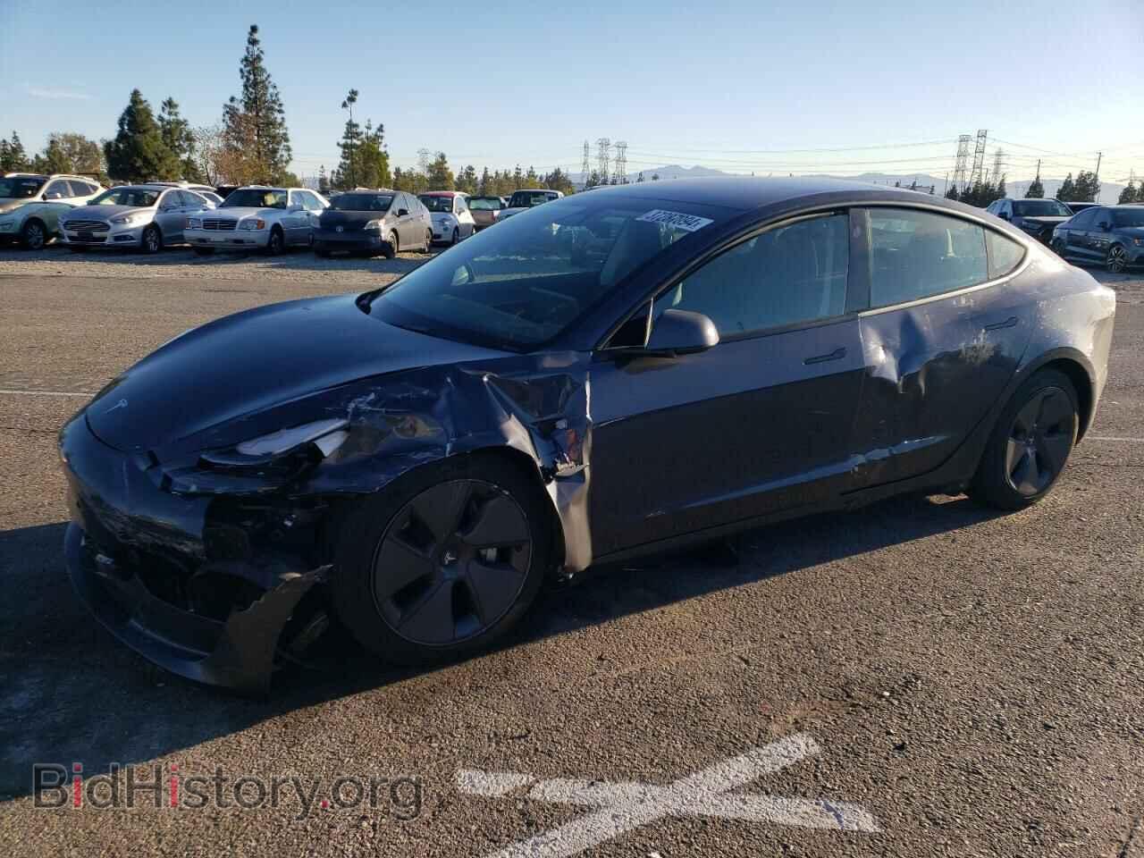 Photo 5YJ3E1EBXPF390325 - TESLA MODEL 3 2023