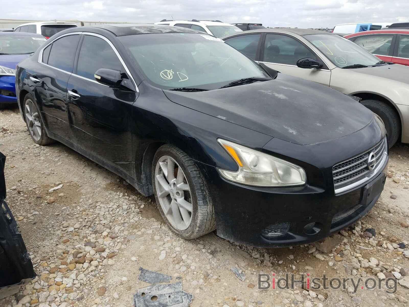 Photo 1N4AA5AP7AC804957 - NISSAN MAXIMA 2010