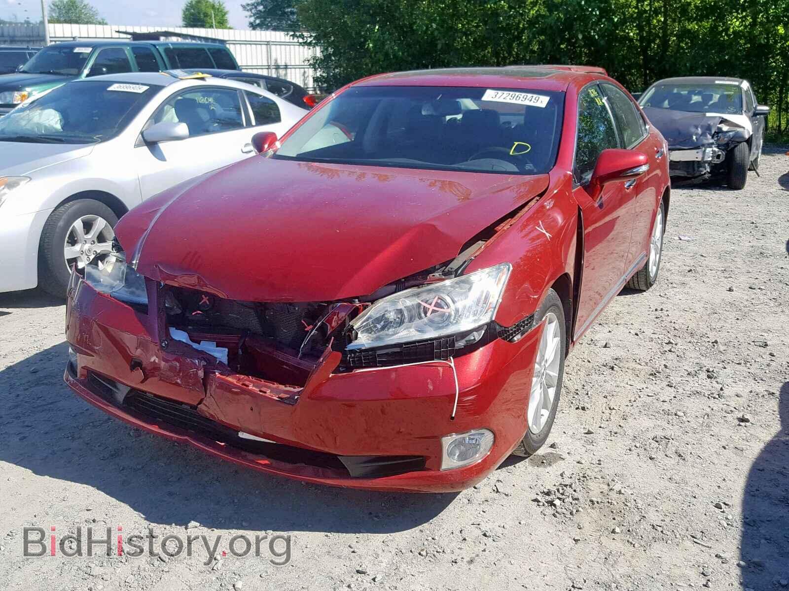 2010 LEXUS ES350 - VIN: JTHBK1EG5A2368628 - Фото 2