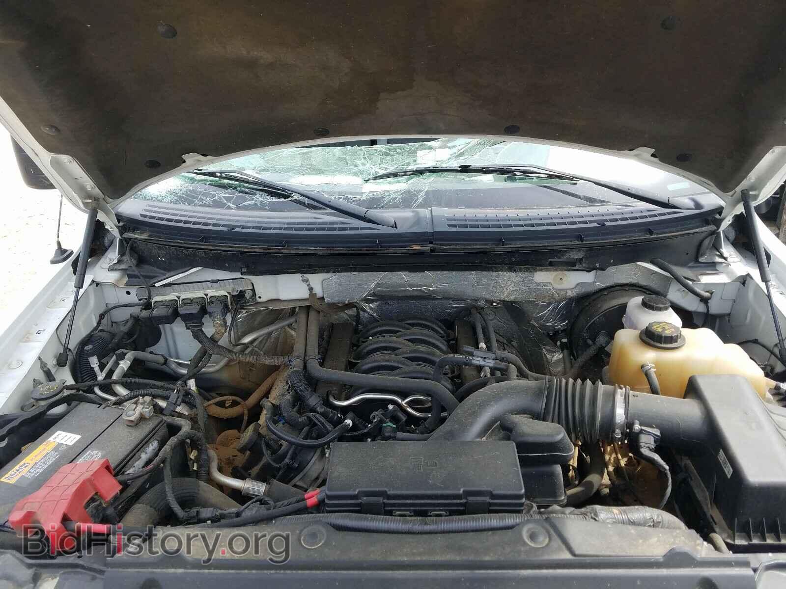 2013 FORD F150 - VIN: 1FTMF1CF0DKF11501 - Фото 7