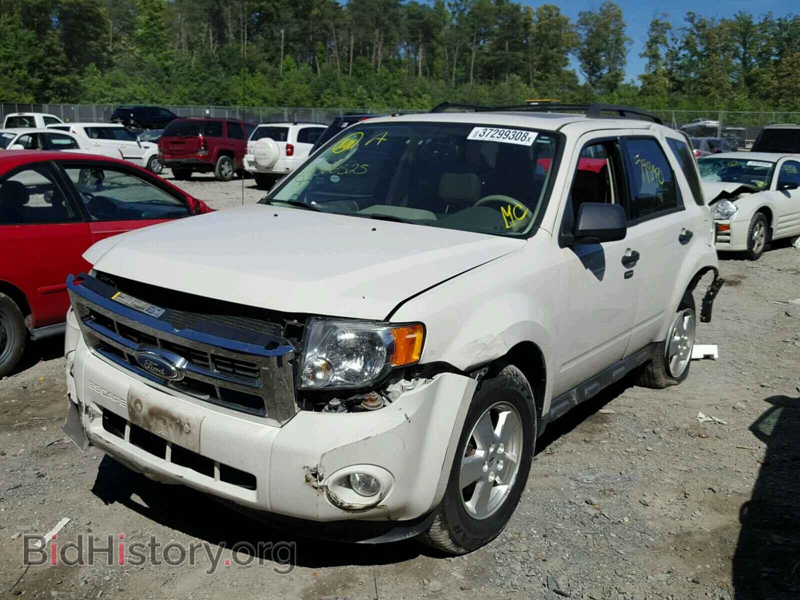 2011 FORD ESCAPE - VIN: 1FMCU0DG4BKB58014 - Фото 2