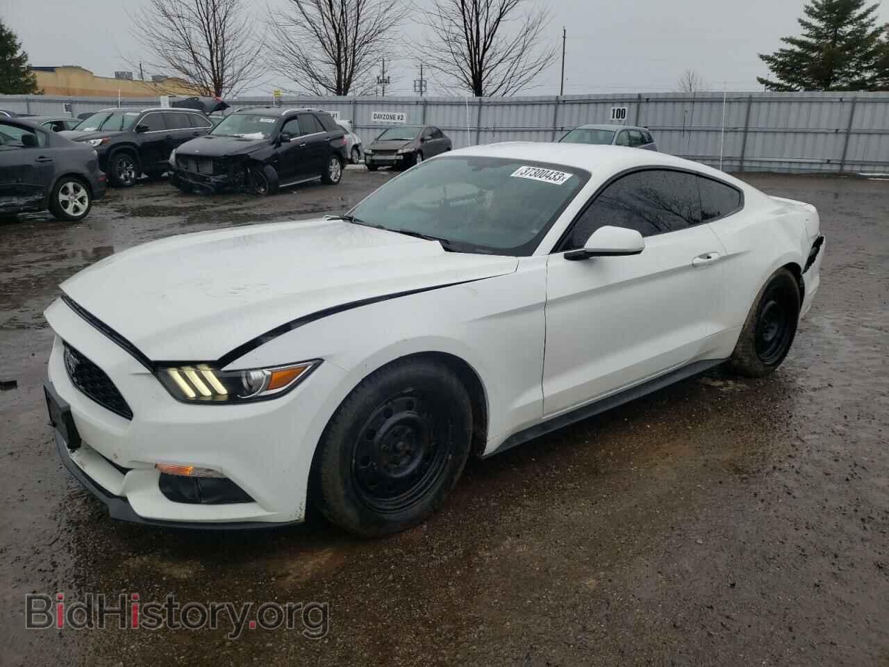 Photo 1FA6P8AM8H5284990 - FORD MUSTANG 2017