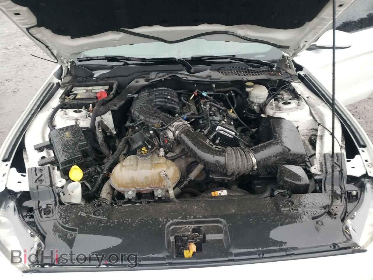 2017 FORD MUSTANG - VIN: 1FA6P8AM8H5284990 - Фото 11