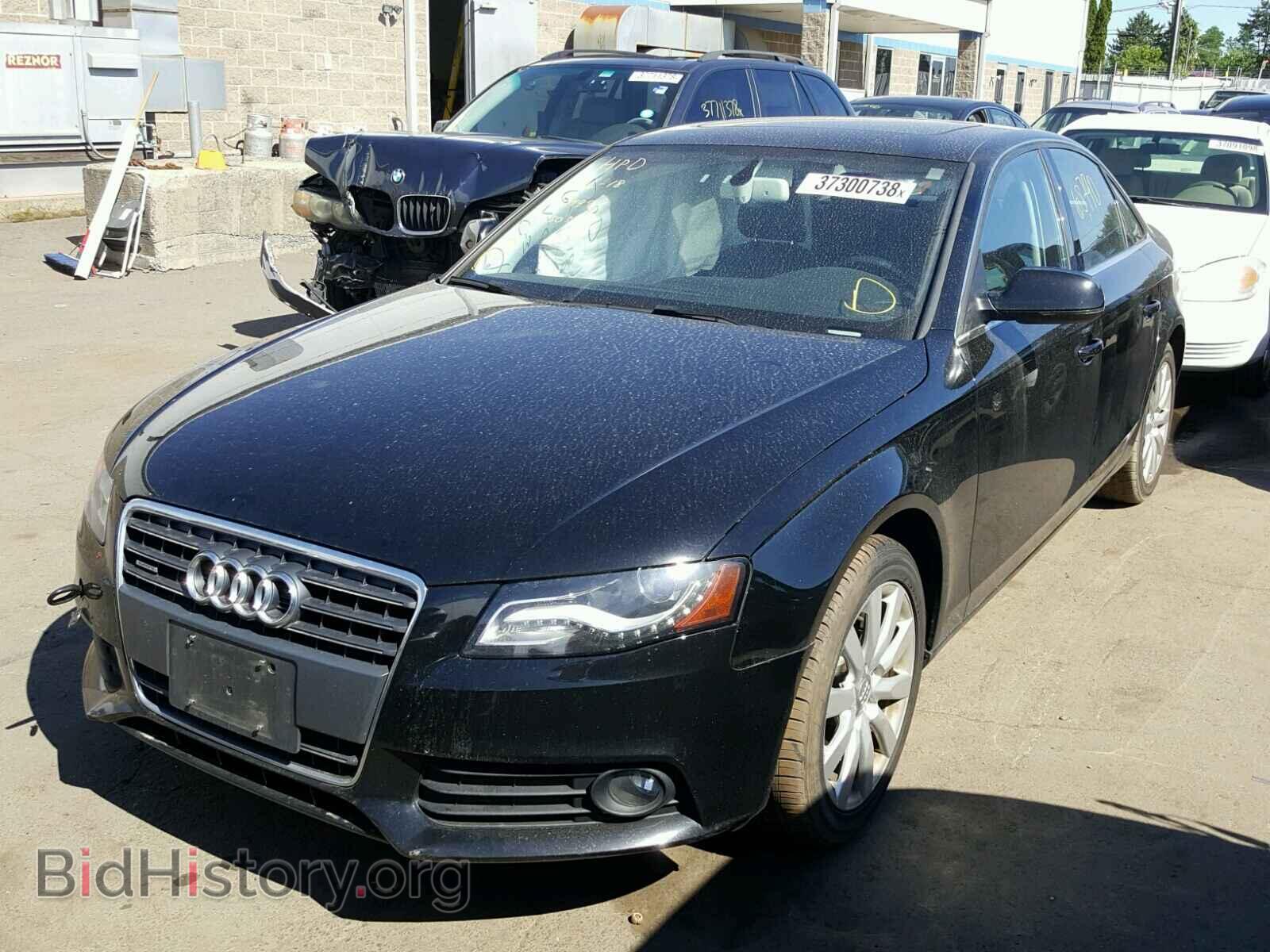 2011 AUDI A4 - VIN: WAUFFAFLXBN049791 - Фото 2
