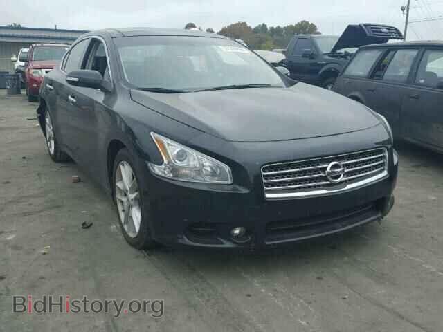 Фотография 1N4AA51E29C849086 - NISSAN MAXIMA 2009
