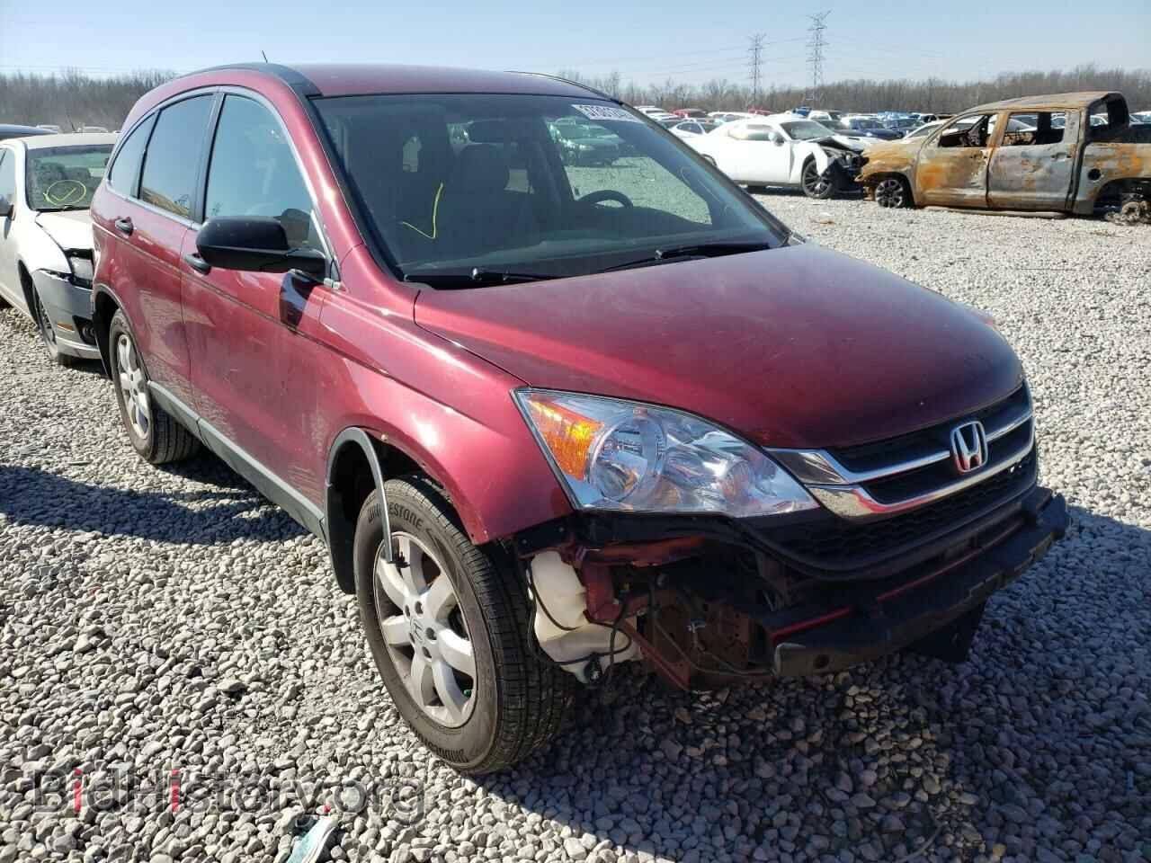 Фотография 5J6RE3H42BL015189 - HONDA CRV 2011