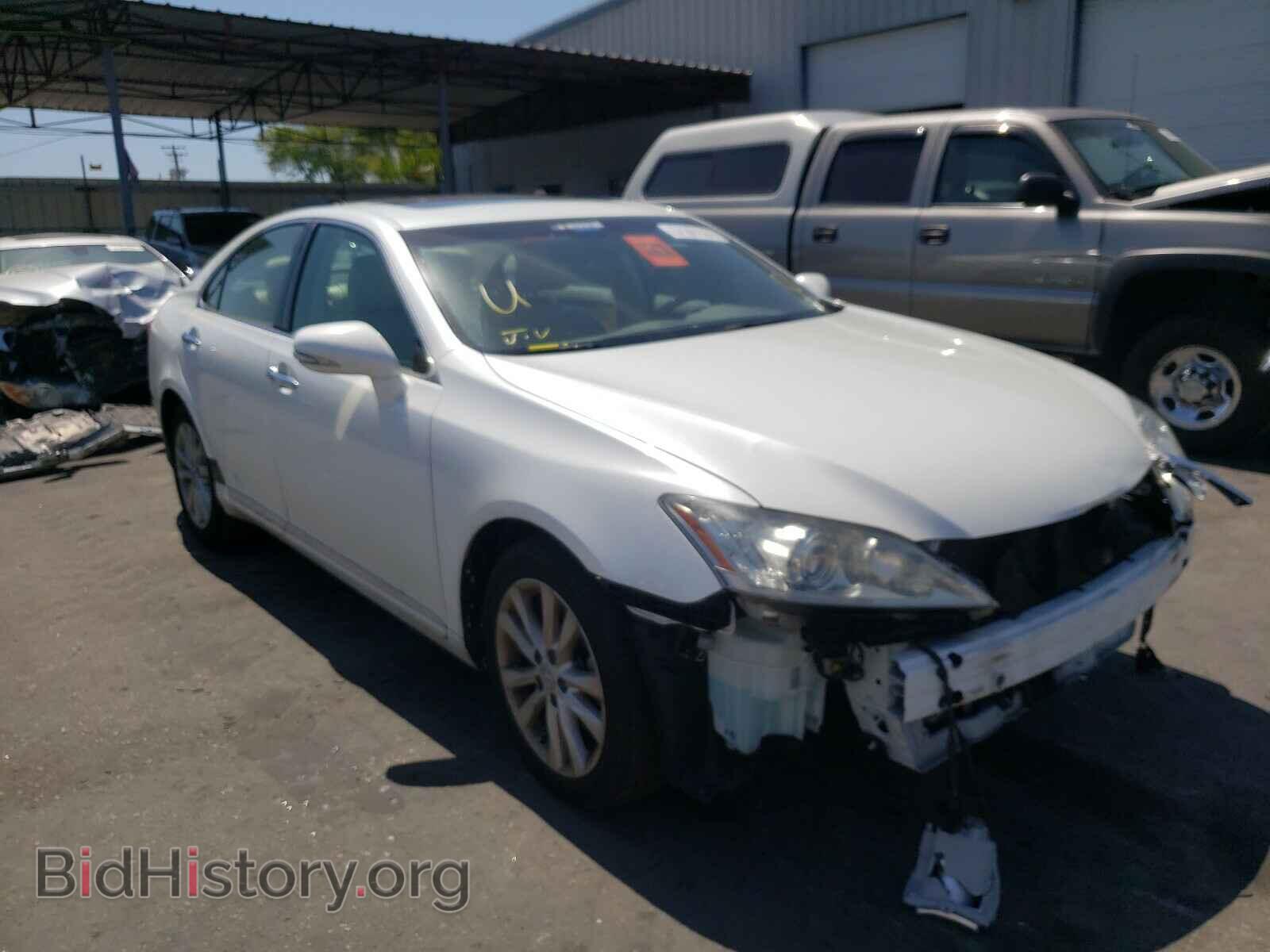 Фотография JTHBK1EG4A2387607 - LEXUS ES350 2010