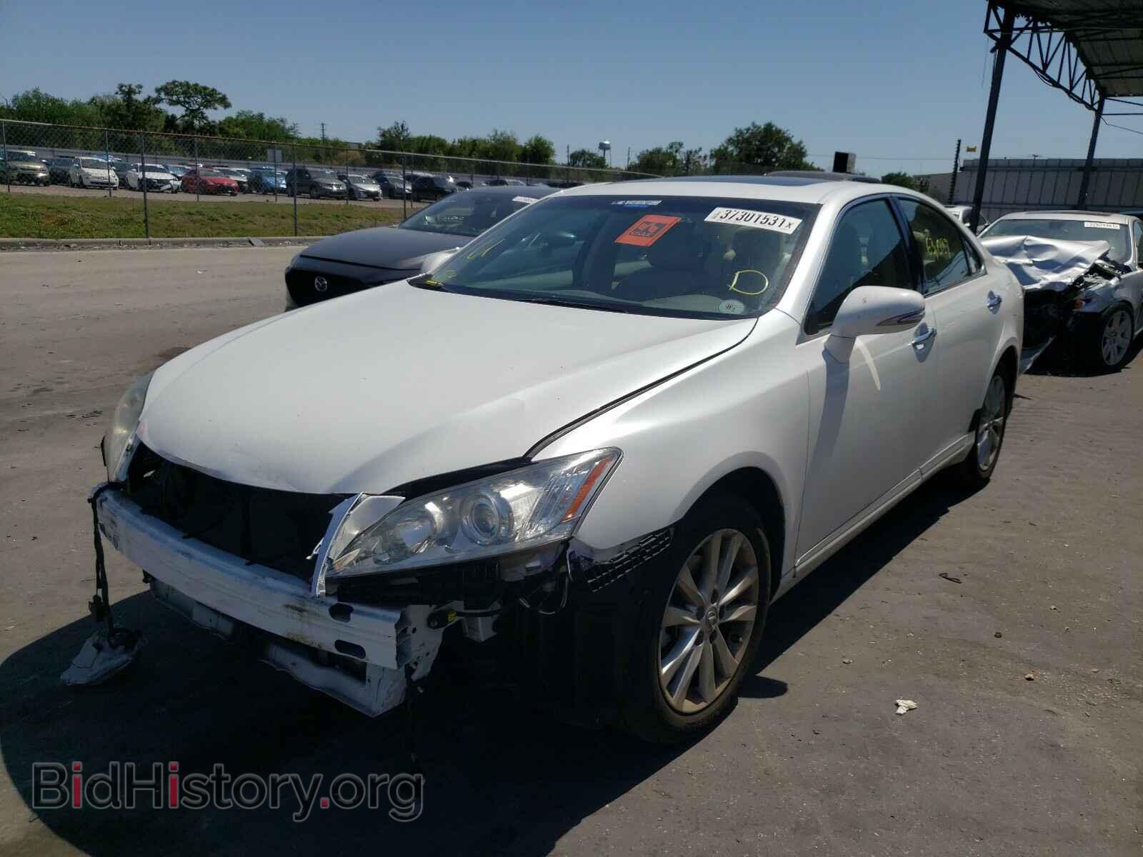 2010 LEXUS ES350 - VIN: JTHBK1EG4A2387607 - Фото 2