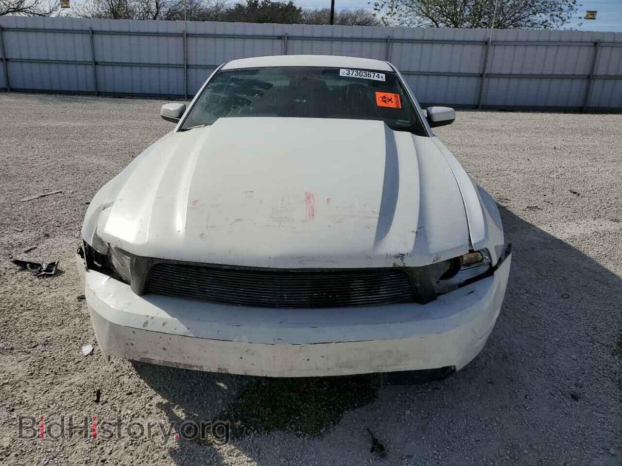 2011 FORD MUSTANG - VIN: 1ZVBP8CF0B5123190 - Фото 5