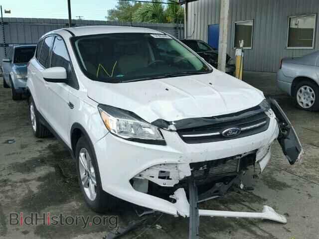 Фотография 1FMCU0GX7EUC16606 - FORD ESCAPE 2014