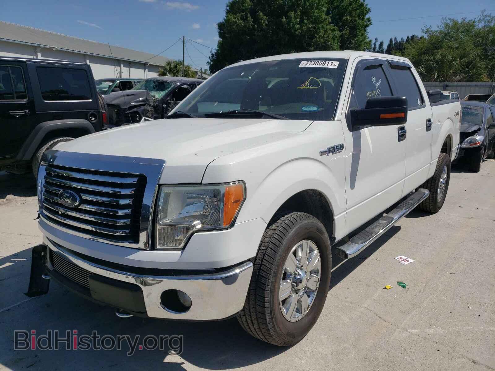 2012 FORD F150 - VIN: 1FTFW1EF0CFC50559 - Фото 2