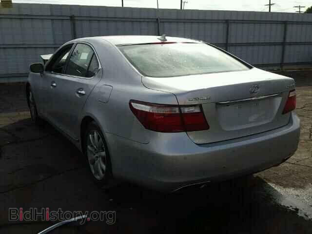 2009 LEXUS LS460 - VIN: JTHBL46F195085464 - Фото 3