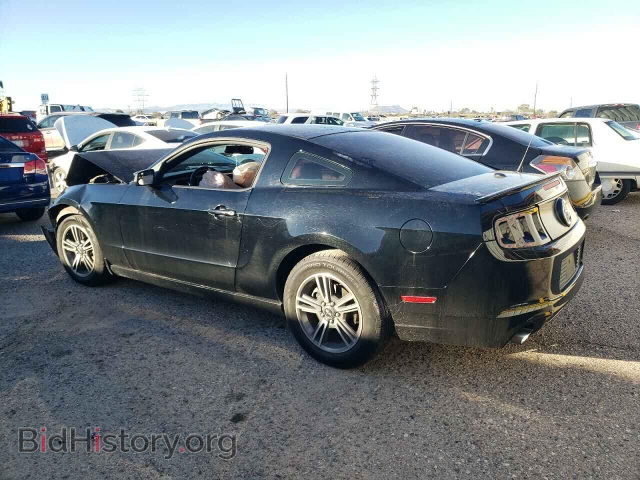 2013 FORD ALL Models - VIN: 1ZVBP8AM6D5214243 - Фото 2