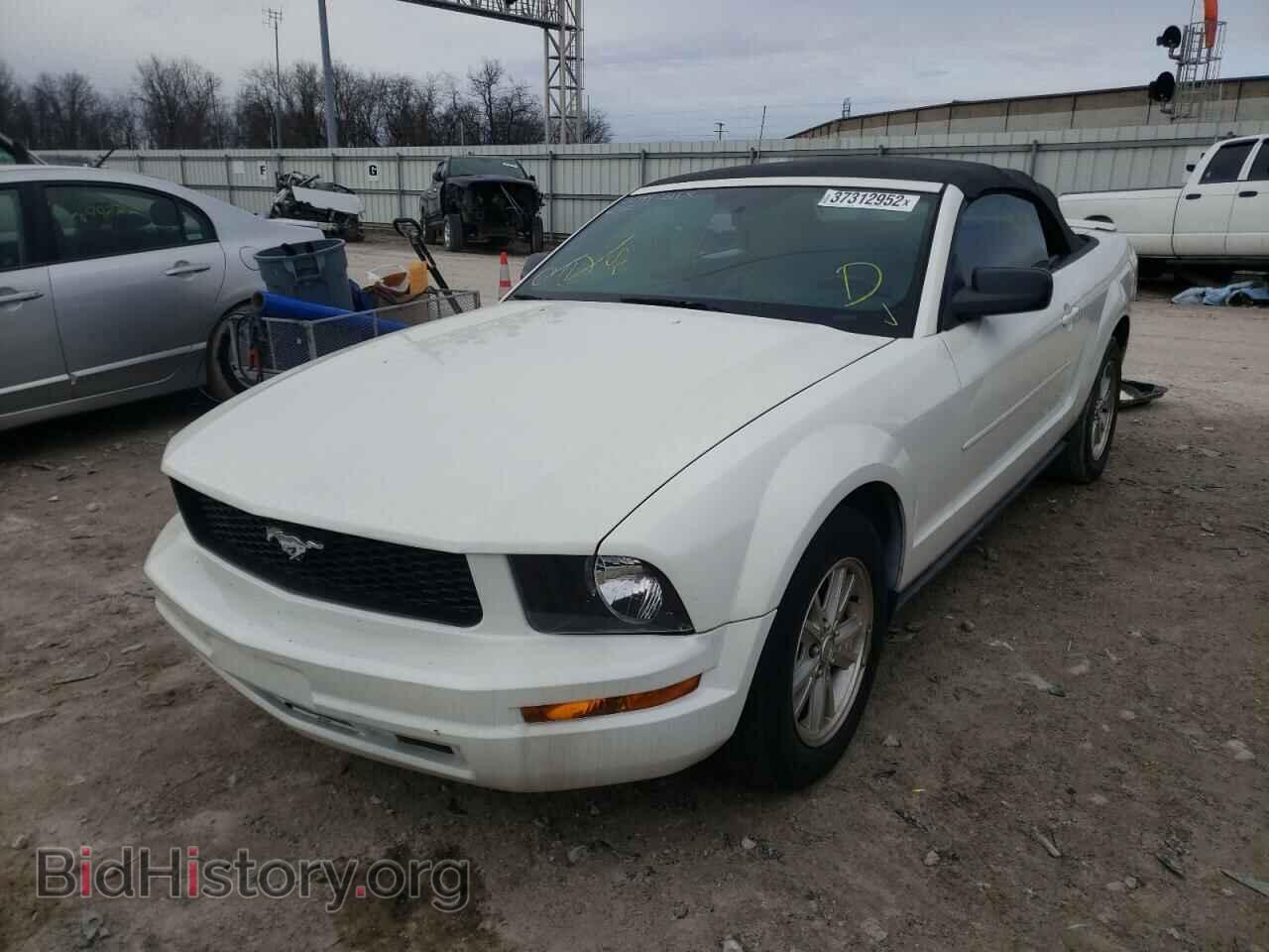 2007 FORD MUSTANG - VIN: 1ZVFT84N075312545 - Фото 2
