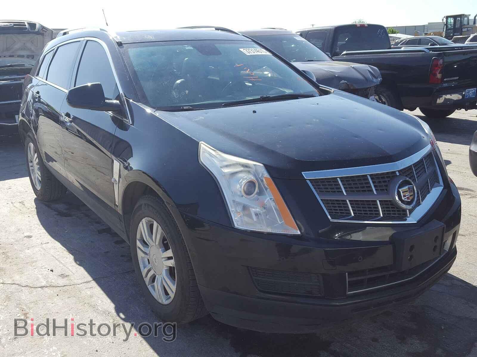 Фотография 3GYFNAEY8BS555560 - CADILLAC SRX 2011