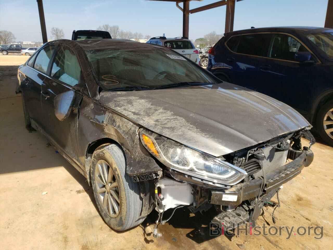 Photo 5NPE24AF4KH804334 - HYUNDAI SONATA 2019