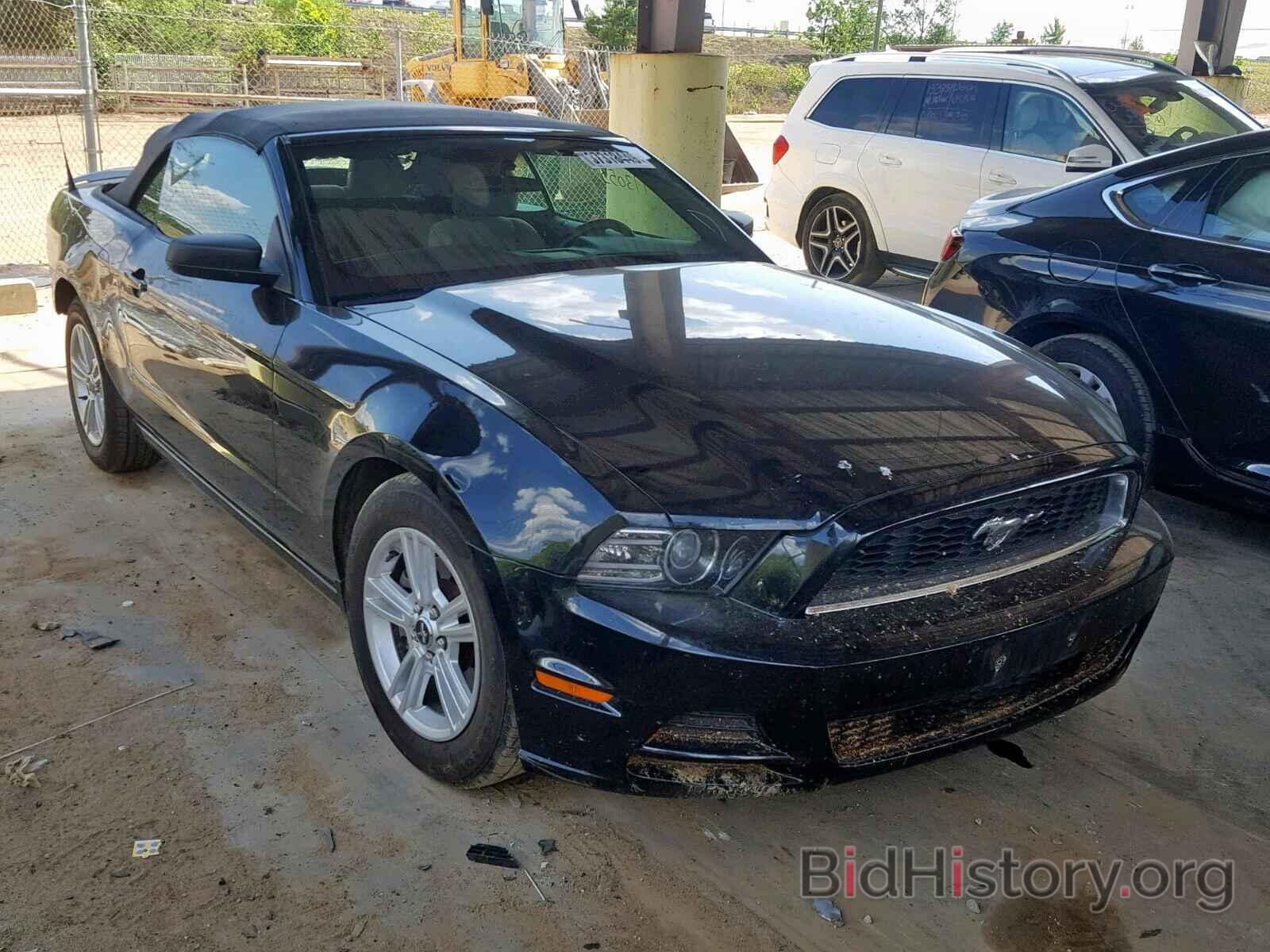 Photo 1ZVBP8EM0D5234434 - FORD MUSTANG 2013