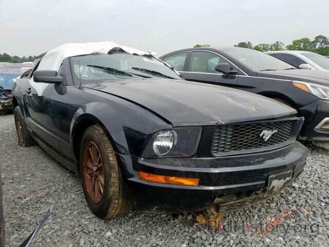 Photo 1ZVHT84N085202525 - FORD MUSTANG 2008
