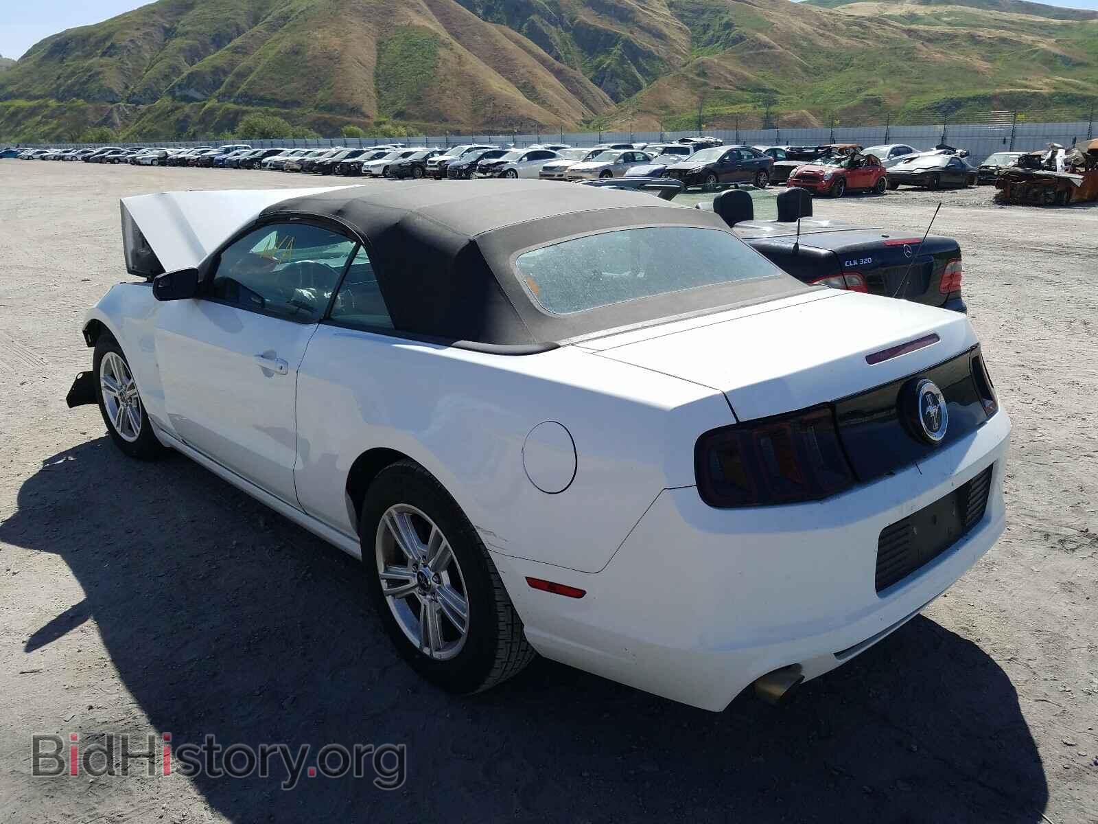 2014 FORD MUSTANG - VIN: 1ZVBP8EM0E5317136 - Фото 3