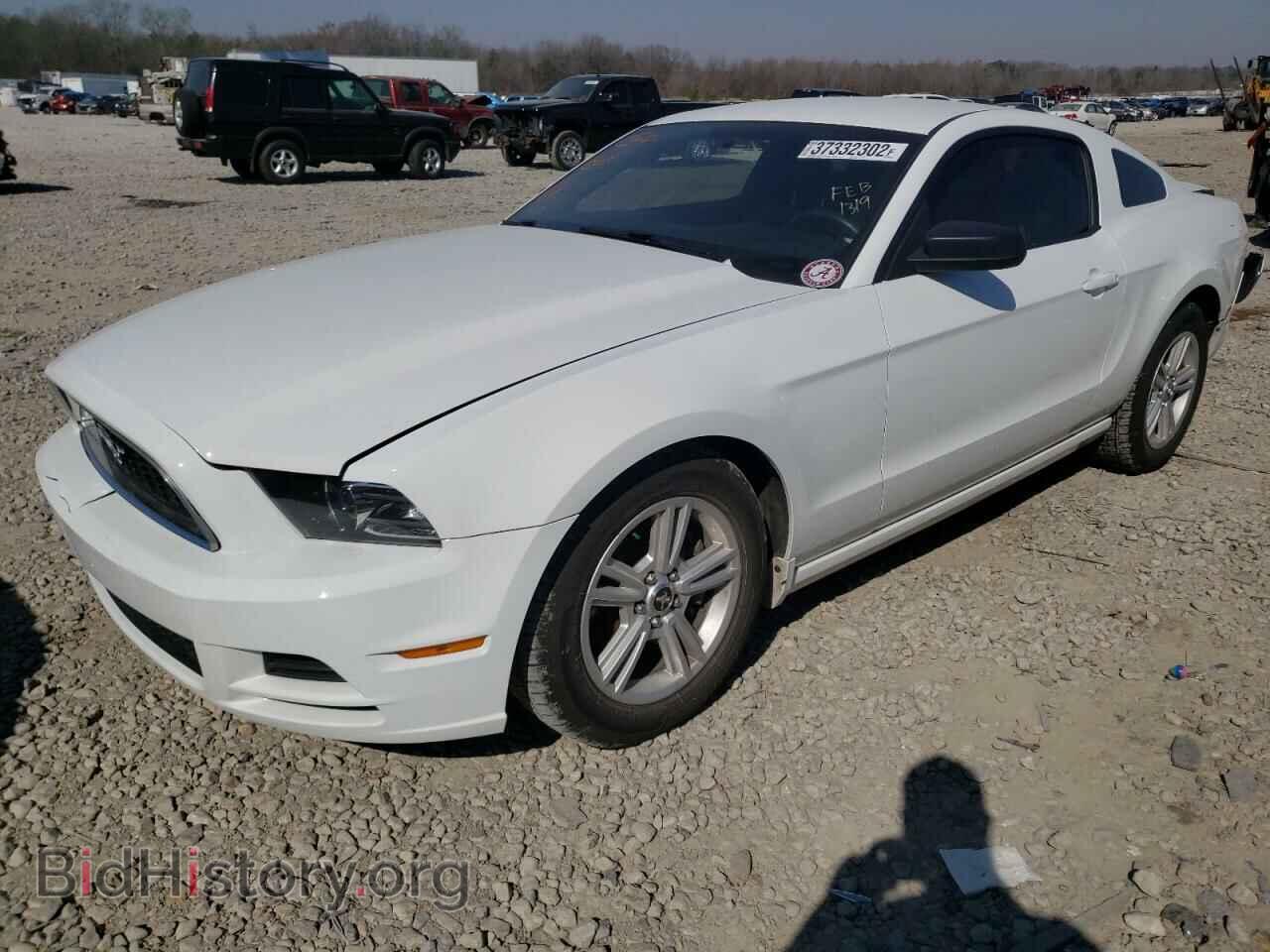 2014 FORD MUSTANG - VIN: 1ZVBP8AM4E5261319 - Фото 2