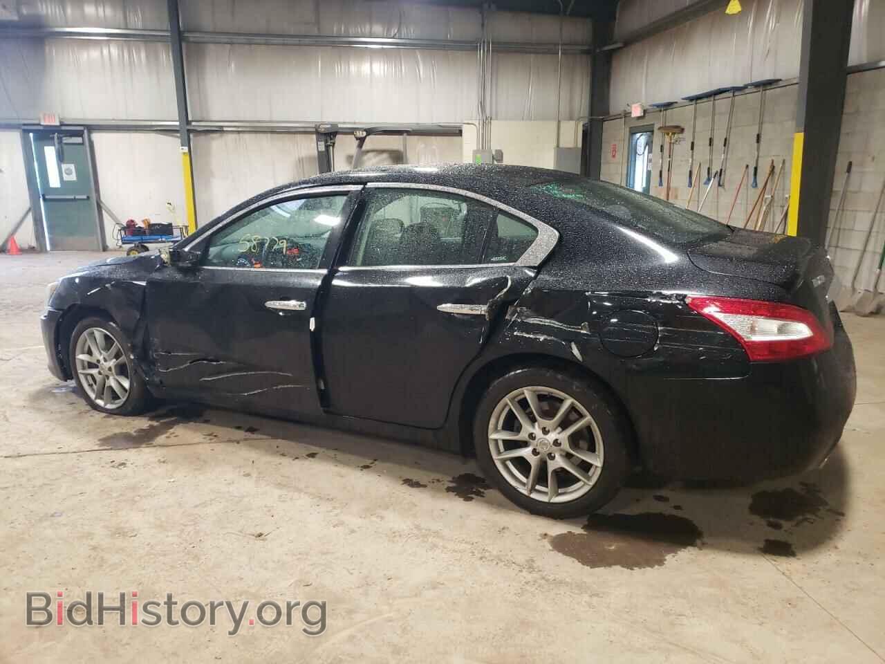 2011 NISSAN MAXIMA - VIN: 1N4AA5AP8BC835135 - Фото 2