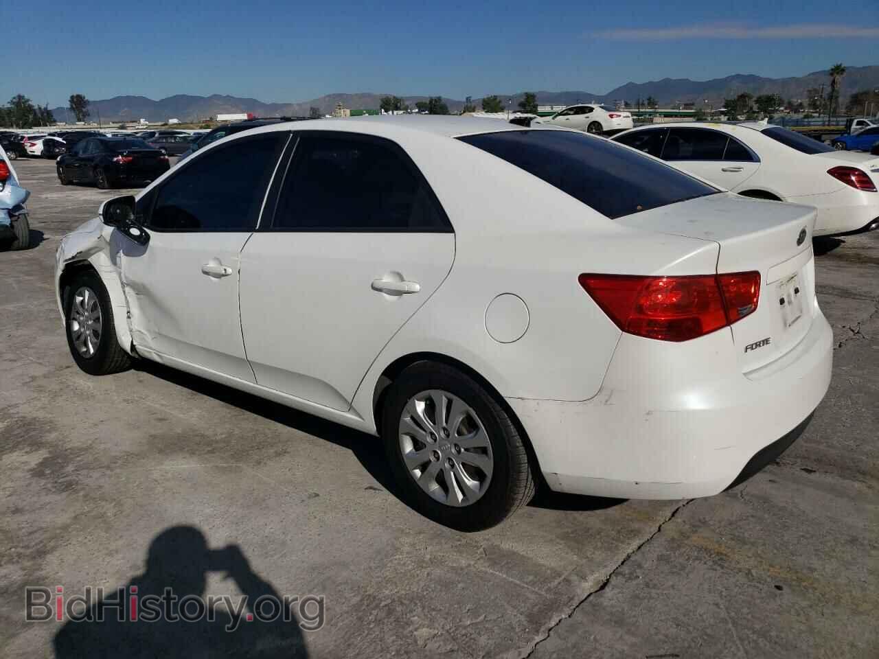 2013 KIA FORTE - VIN: KNAFU4A21D5700833 - Фото 2