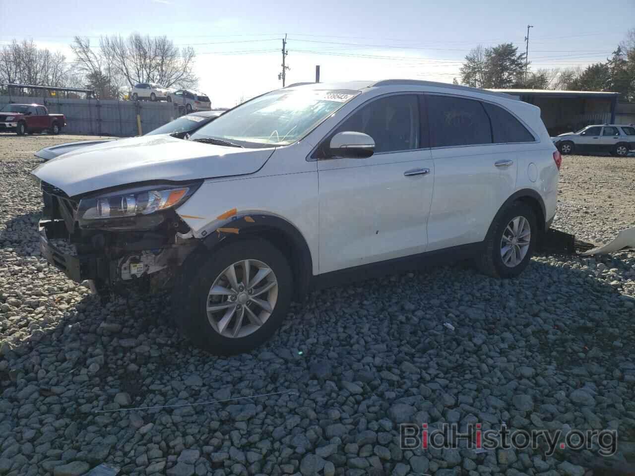 Photo 5XYPG4A36HG274609 - KIA SORENTO 2017