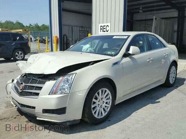 2010 CADILLAC CTS - VIN: 1G6DG5EG6A0128702 - Фото 2