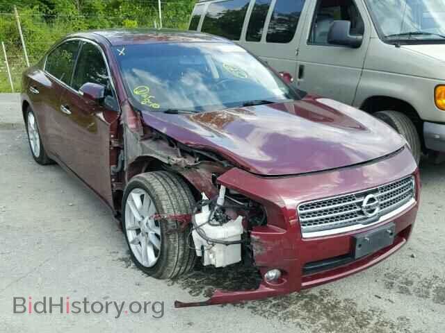 Фотография 1N4AA5AP4BC825539 - NISSAN MAXIMA 2011