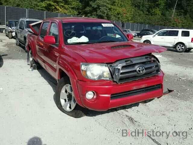 Photo 3TMMU52N59M015390 - TOYOTA TACOMA 2009