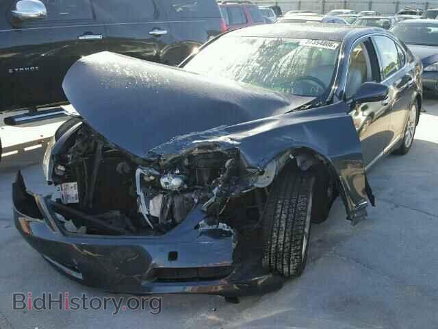 2007 LEXUS LS460 - VIN: JTHBL46F975039300 - Фото 2