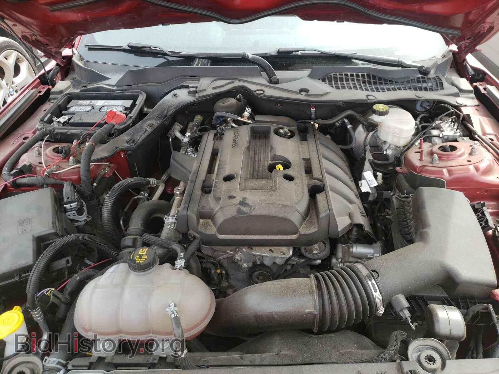 2019 FORD MUSTANG - VIN: 1FA6P8TH0K5167105 - Фото 7