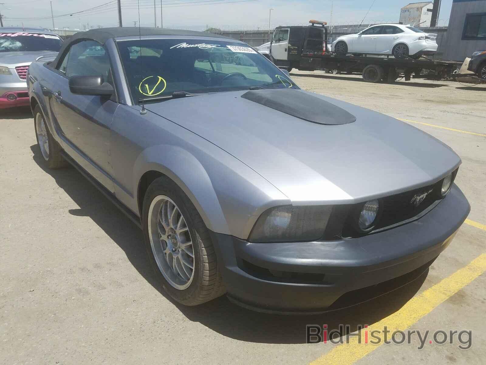 Photo 1ZVHT85H965193653 - FORD MUSTANG 2006