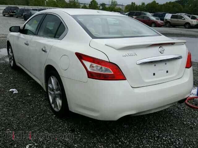2010 NISSAN MAXIMA - VIN: 1N4AA5AP3AC817172 - Фото 3