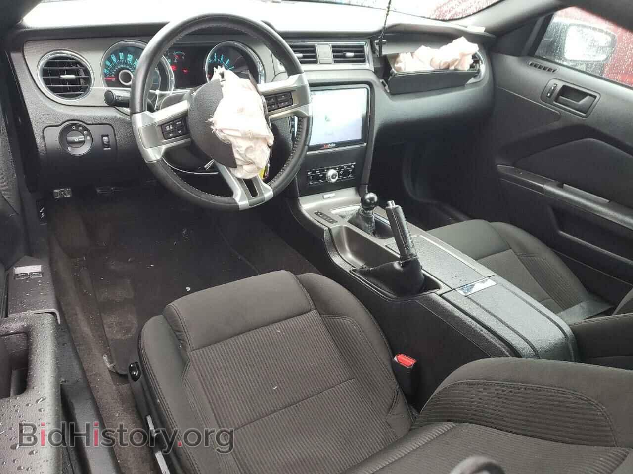 2013 FORD MUSTANG - VIN: 1ZVBP8CF4D5249992 - Photo 8