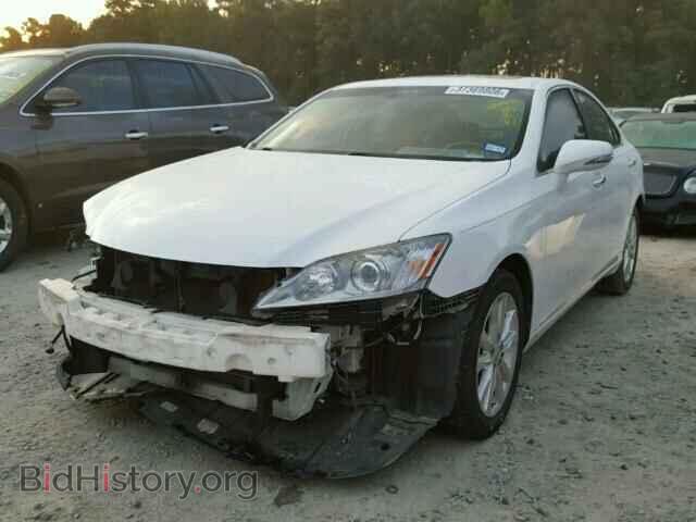 2010 LEXUS ES350 - VIN: JTHBK1EG2A2401374 - Фото 2
