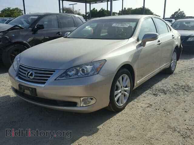 2011 LEXUS ES350 - VIN: JTHBK1EG0B2465849 - Фото 2