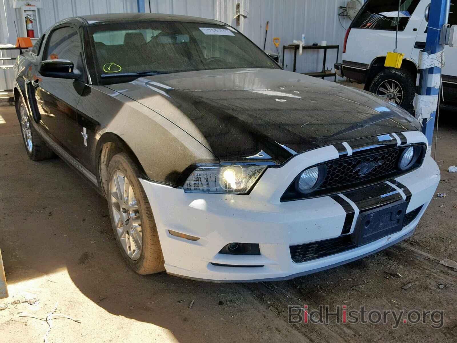 Photo 1ZVBP8AM8D5262732 - FORD MUSTANG 2013