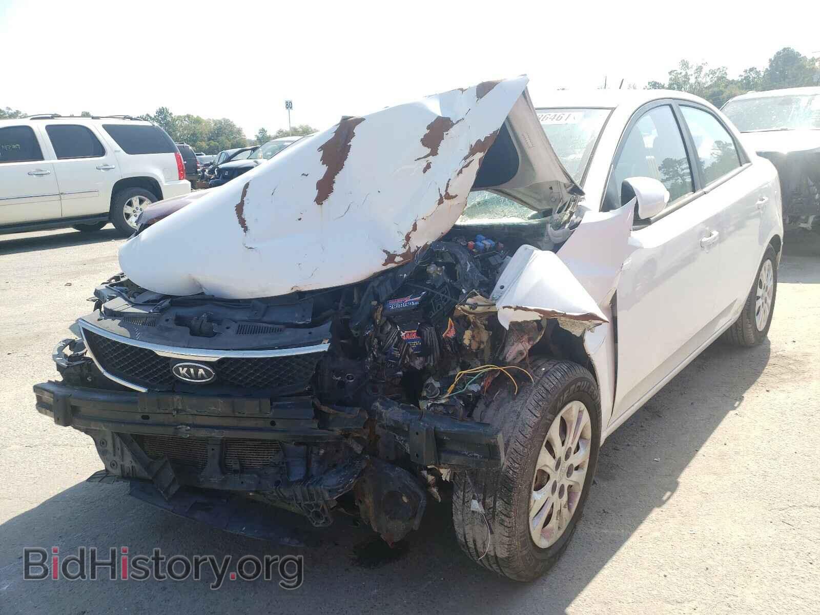 2010 KIA FORTE - VIN: KNAFU4A29A5164175 - Фото 2