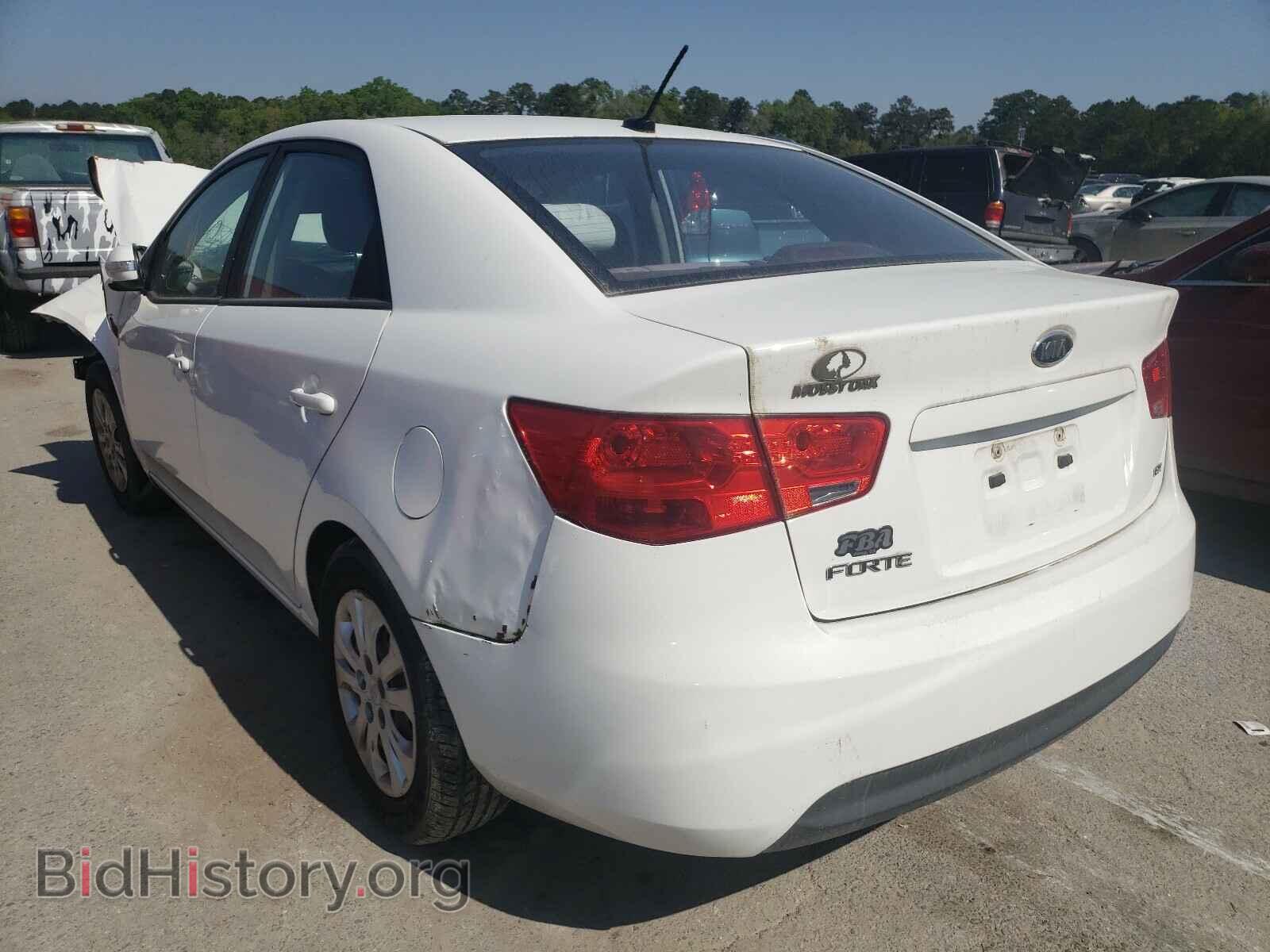 2010 KIA FORTE - VIN: KNAFU4A29A5164175 - Фото 3