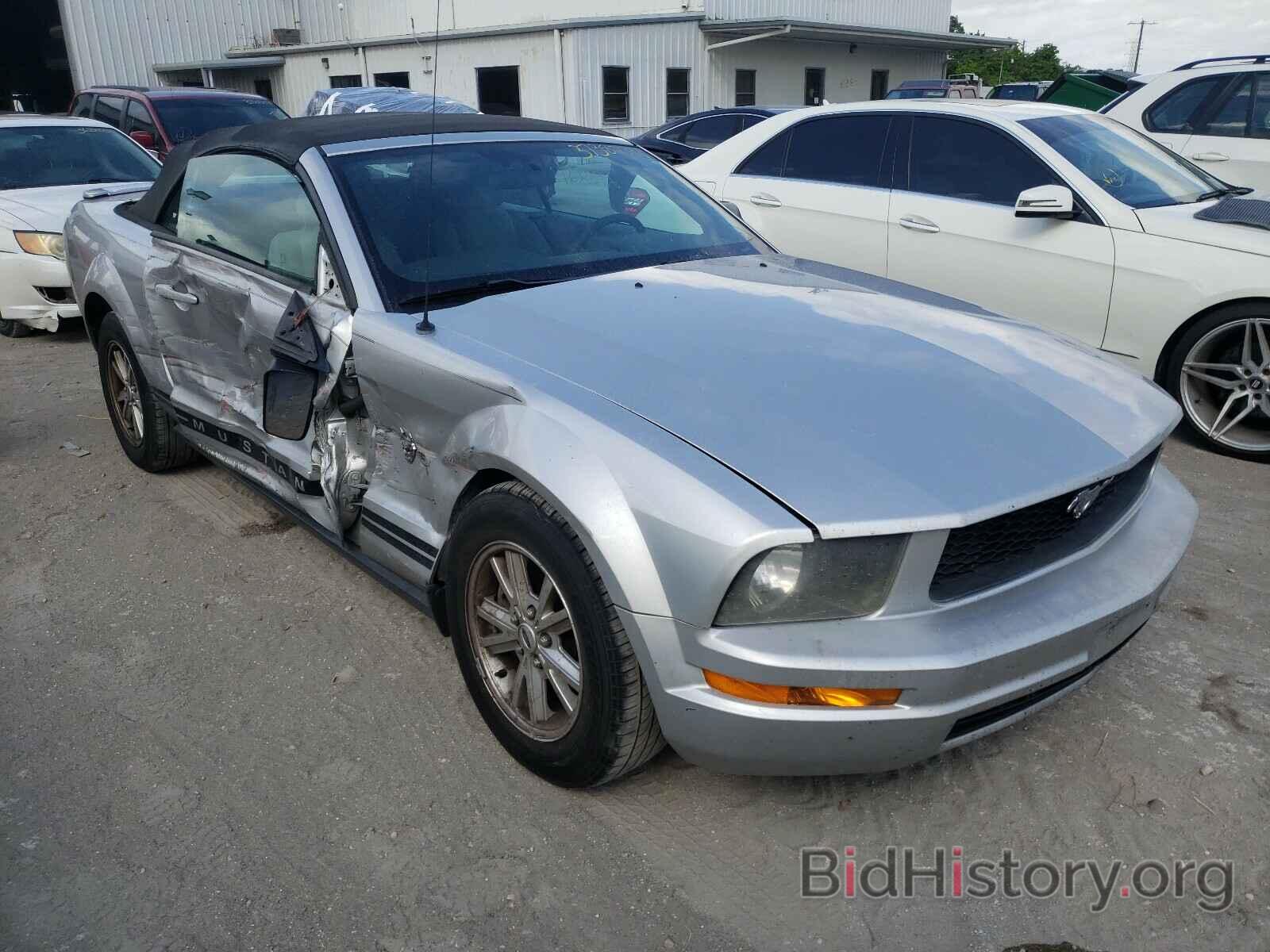 Photo 1ZVHT84N395138661 - FORD MUSTANG 2009