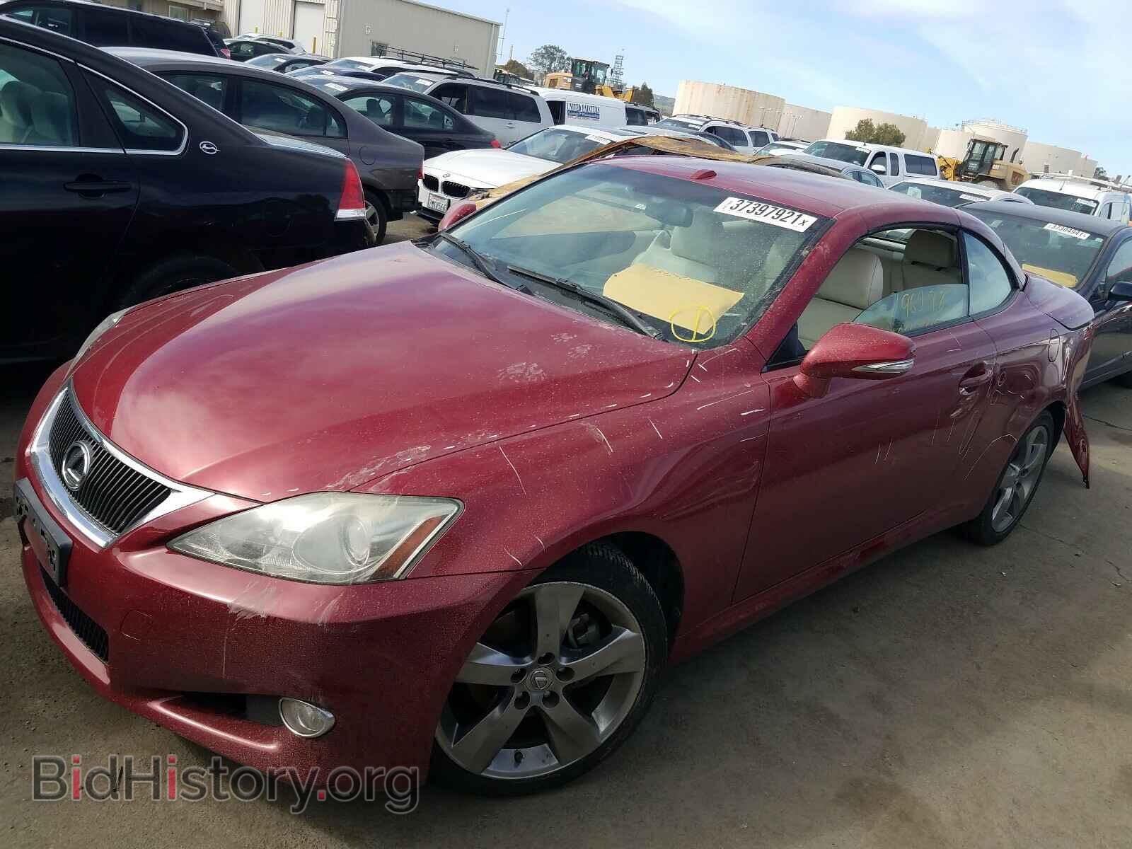 2010 LEXUS IS - VIN: JTHFF2C23A2504452 - Фото 2